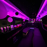 SERVICIO DE PARTY BUS