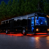 DISCO BUS