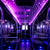 DISCO BUS