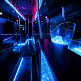 DISCO BUS